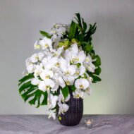 Springs of Life - beverlyhillsflorist