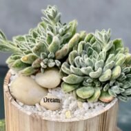 Groovy Green - beverlyhillsflorist