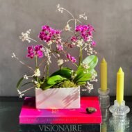 Breeze - beverlyhillsflorist