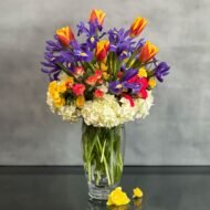 Blue Iris - beverlyhillsflorist