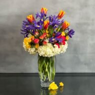 Blue Iris - beverlyhillsflorist