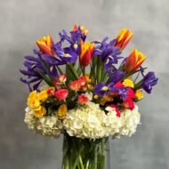 Blue Iris - beverlyhillsflorist