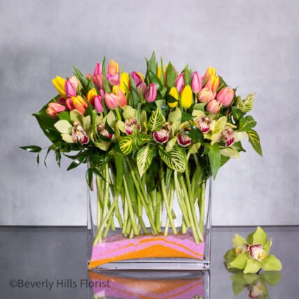 100 Colors of  Tulip Joy - beverlyhillsflorist