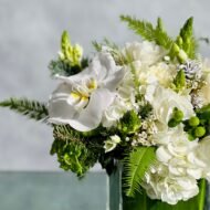 Green Goodness - beverlyhillsflorist