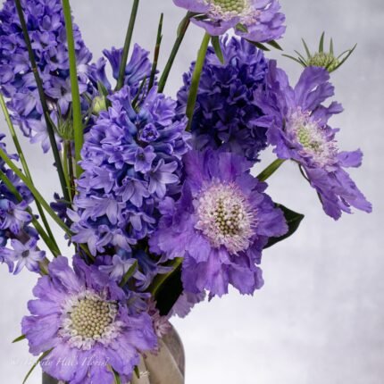 Enchanted April - beverlyhillsflorist