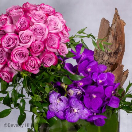 A Star Is Born - beverlyhillsflorist