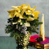 Winter White Poinsettia - beverlyhillsflorist