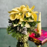 Winter White Poinsettia - beverlyhillsflorist