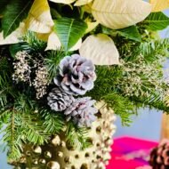 Winter White Poinsettia - beverlyhillsflorist