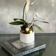 Orchid Nirvana - beverlyhillsflorist