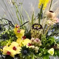 Beverly Hills Florist presents Blooming Birch for same day delivery ! Yellow Orchids, Blue Thistles, Blue Delphinium and seasonal greens with Hydrangeas